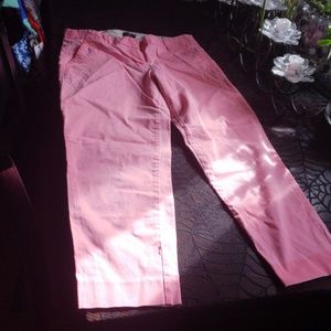 Hot Pink JCREW City Fit Chino Pants Size 6